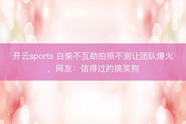 开云sports 白柴不互助拍照不测让团队爆火，网友：信得过的搞笑狗