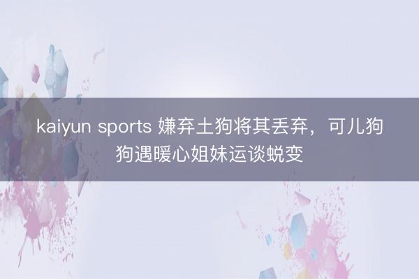 kaiyun sports 嫌弃土狗将其丢弃，可儿狗狗遇暖心姐妹运谈蜕变