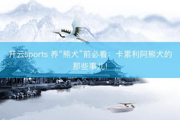 开云sports 养“熊犬”前必看:卡累利阿熊犬的那些事儿!