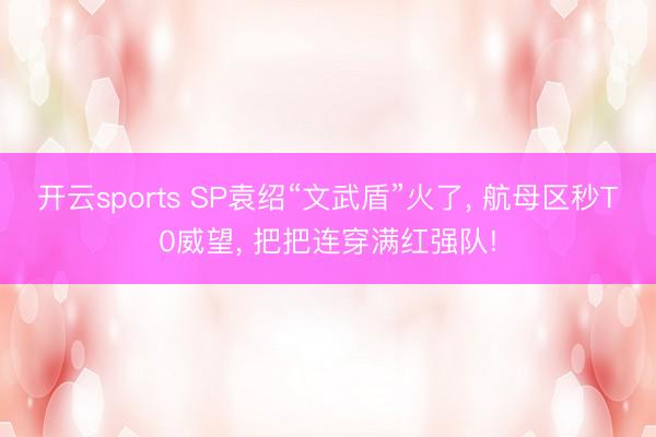 开云sports SP袁绍“文武盾”火了， 航母区秒T0威望， 把把连穿满红强队!