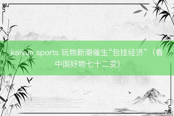 kaiyun sports 玩物新潮催生“包挂经济”（看中国好物七十二变）