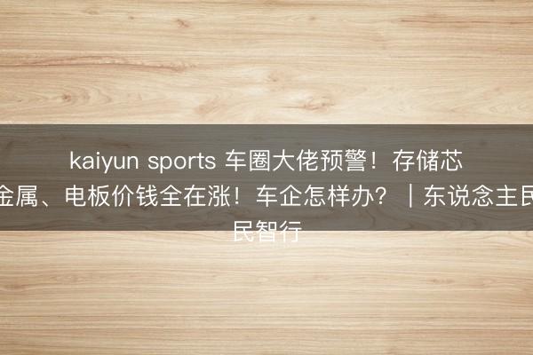 kaiyun sports 车圈大佬预警！存储芯片、金属、电板价钱全在涨！车企怎样办？｜东说念主民智行