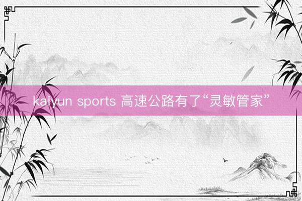 kaiyun sports 高速公路有了“灵敏管家”