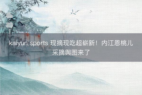kaiyun sports 现摘现吃超崭新!内江恩桃儿采摘舆图来了