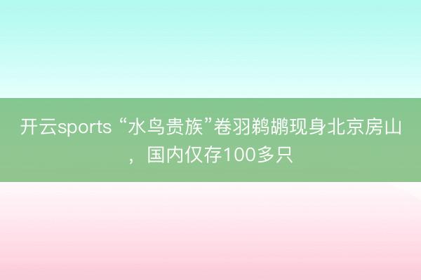 开云sports “水鸟贵族”卷羽鹈鹕现身北京房山，国内仅存100多只